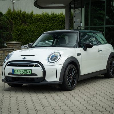 MINI 19