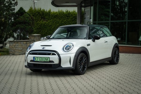 MINI 19