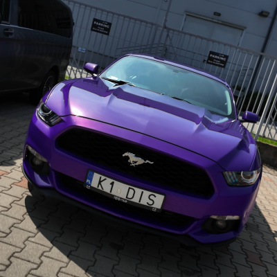 Mustang DIS 1