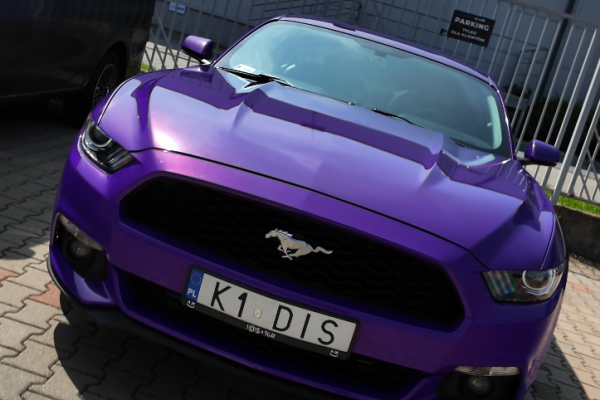 Mustang DIS 1